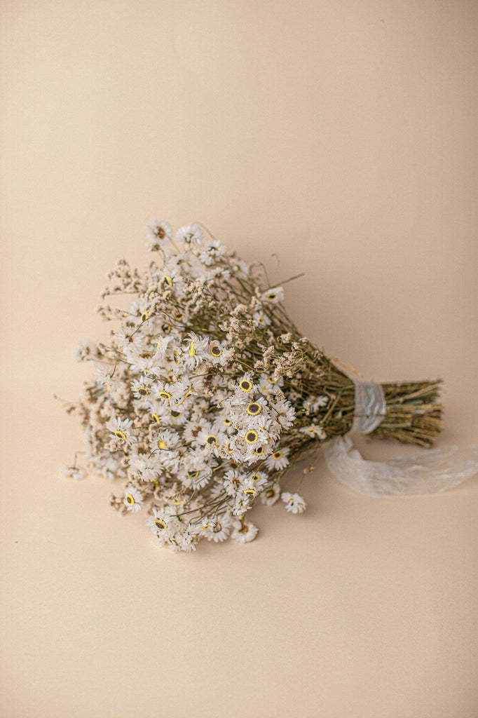hiddenbotanicsweddings Bouquets Dried Flowers Bridal Bouquet - Daisy White & Cream