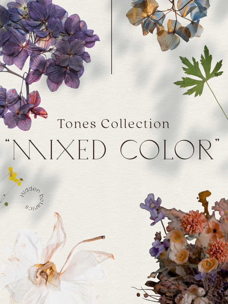 Mixed Color Tones Collection