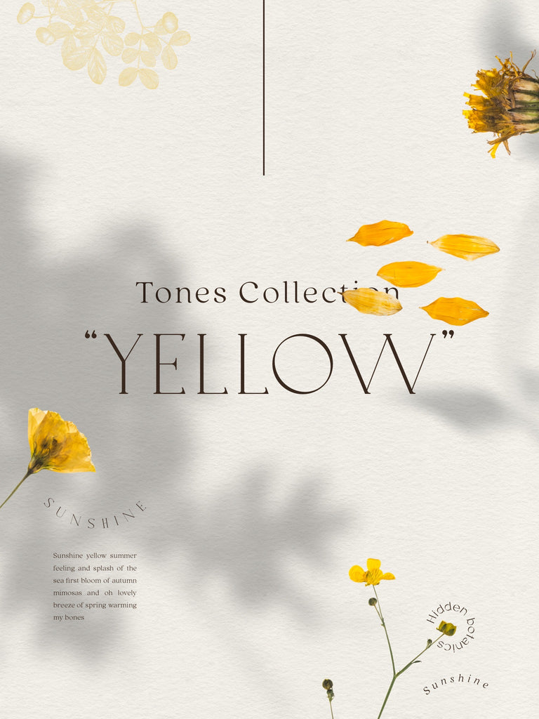 Yellow Tones Collection