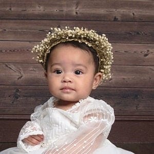 hiddenbotanicsweddings Hair Crowns Flower Girl Crown / Baby Floral Crown / Baby's Breath Baby Crown / Newborn Crown / Newborn Photo Prop / flower crown baby