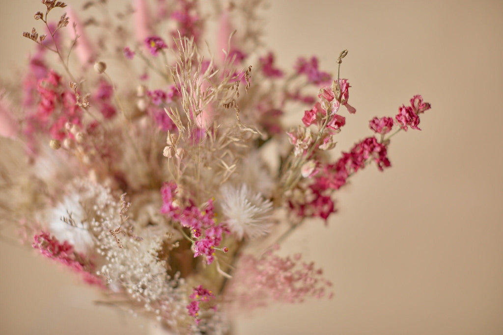 hiddenbotanicsweddings Bouquets Dried Flowers Bridal Bouquet - Baby Pink & Cream
