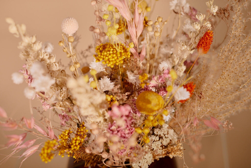 hiddenbotanicsweddings Bouquets Dried Flowers Bridal Bouquet - Blush Pink & Cream
