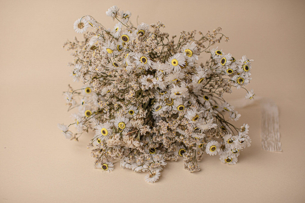 hiddenbotanicsweddings Bouquets Dried Flowers Bridal Bouquet - Daisy White & Cream