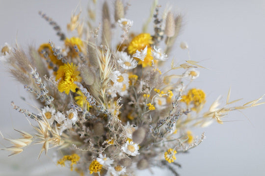 Dried Flowers Bridal Bouquet - Daisy White & Cream