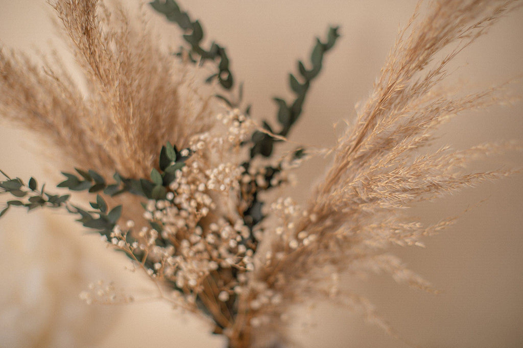hiddenbotanicsweddings Bouquets Dried Flowers Bridal Bouquet - Sandy Cream & Green