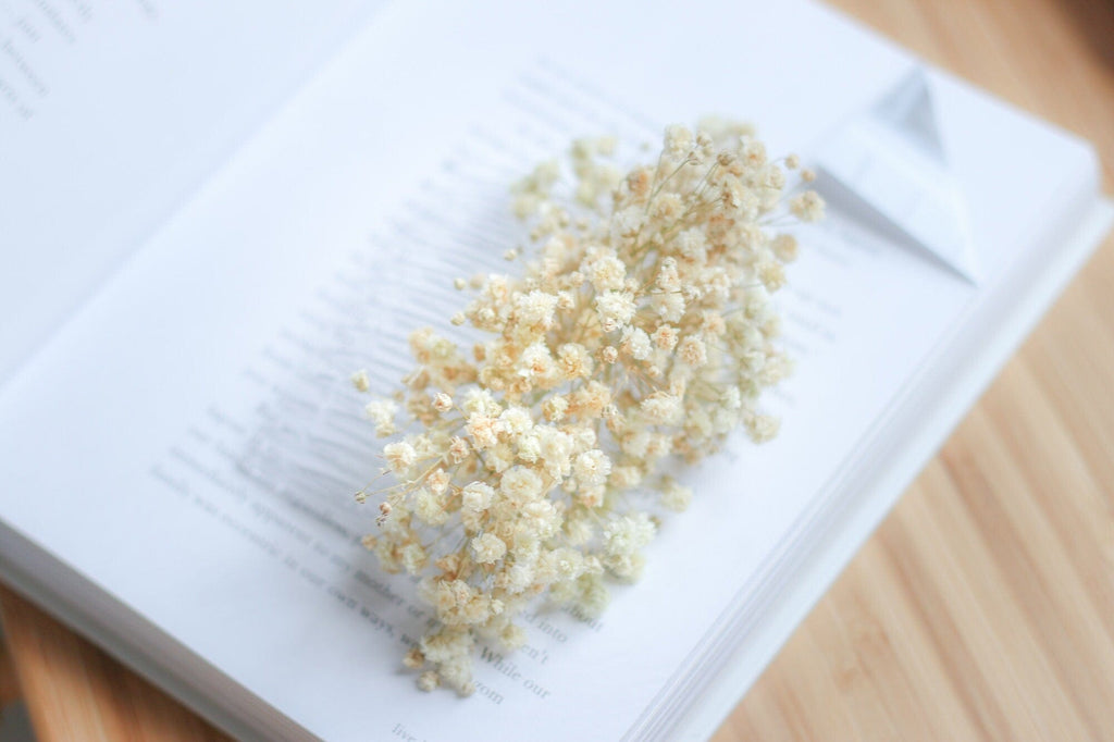 hiddenbotanicsweddings Hair Combs Baby's breath flower comb, hair comb, Baby's Breath hair slides, Gypsophila Bridal Comb, Dried Flowers, Boho weddings