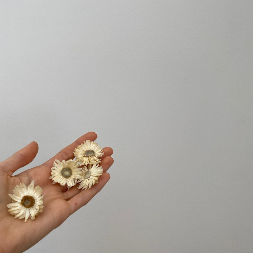 hiddenbotanicsweddings Hair Pin Sets Helichrysum Hair Pins / Boho Bridal Hair Pins / Real Dried Flowers Hair Pin