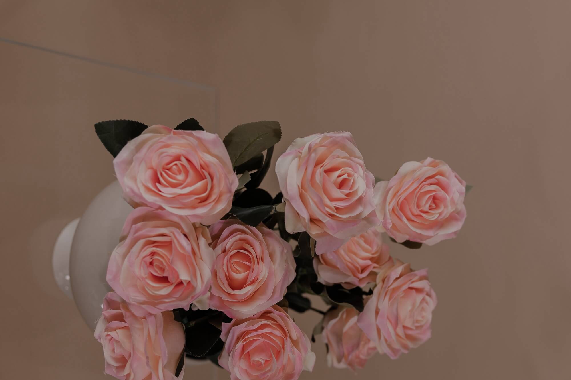 Dried pink roses from Hidden Botanics.