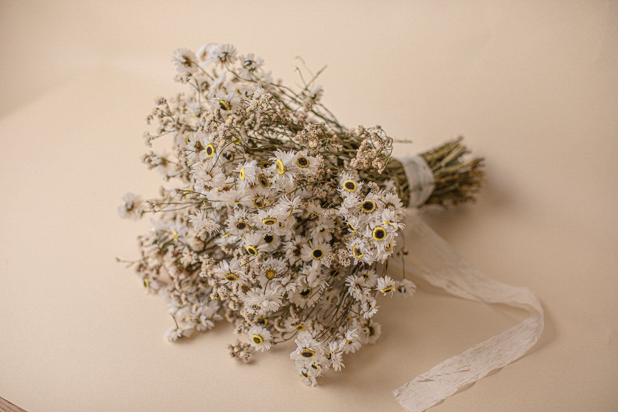 hiddenbotanicsweddings Bouquets Dried Flowers Bridal Bouquet - Daisy White & Cream