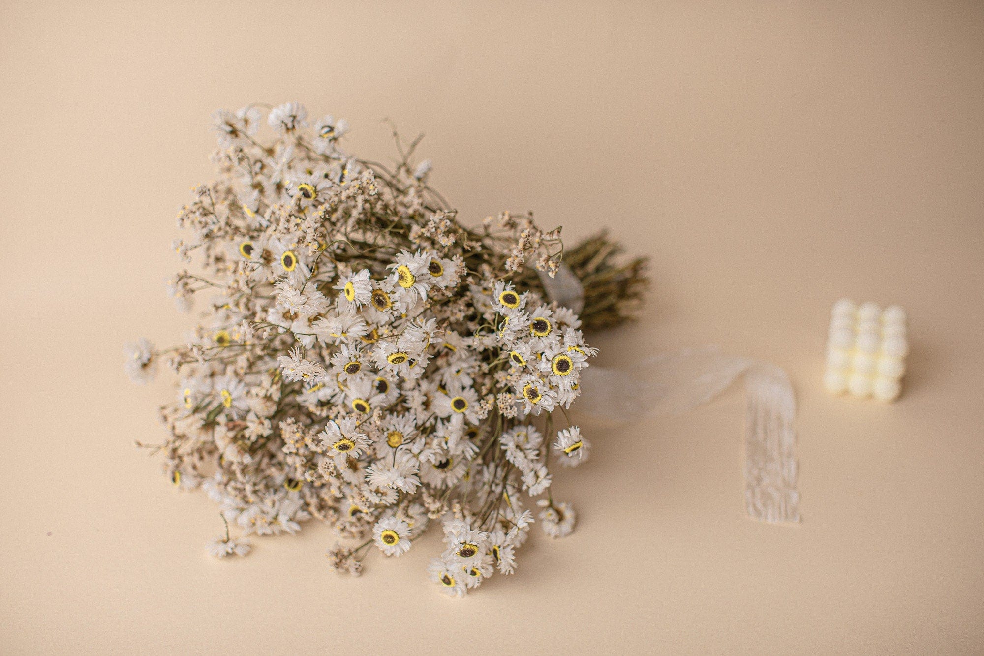 hiddenbotanicsweddings Bouquets Dried Flowers Bridal Bouquet - Daisy White & Cream